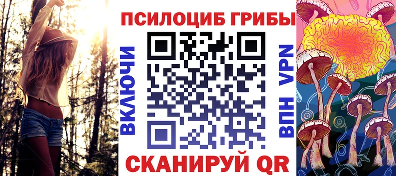 Псилоцибиновые грибы мицелий  Асбест 