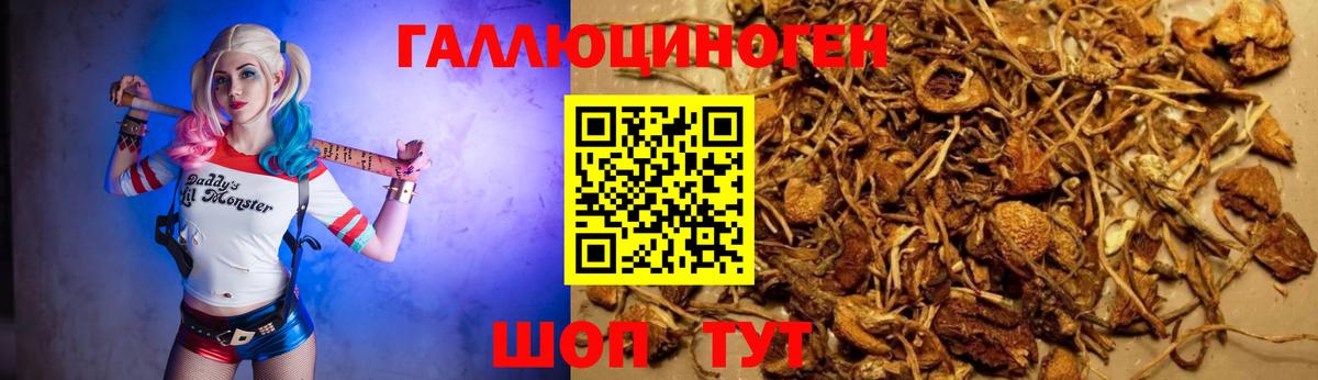 Асбест  Галлюциногенные грибы мицелий  Вход с VPN  Галлюциногенные грибы MAGIC MUSHROOMS 